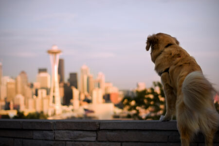 Kerry Park View from Queen Anne