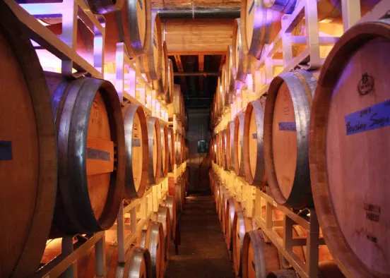 Wine Tasting tours