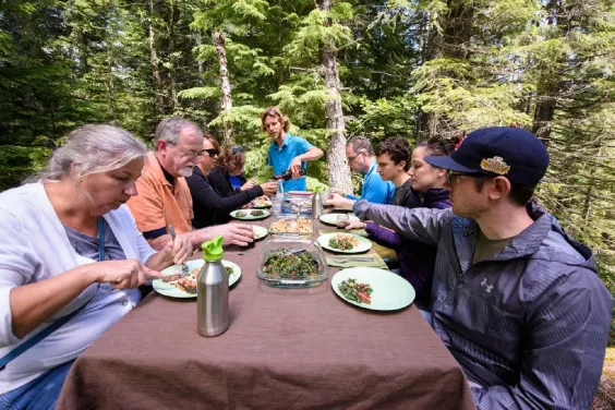 Day Tours with Lunch