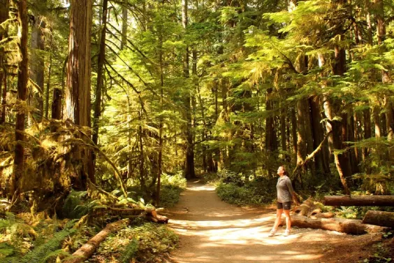 Olympic National Park Day Trip