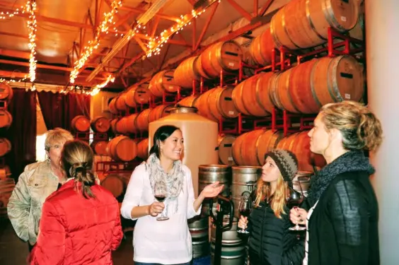 Wine Tours